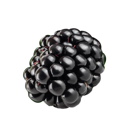 شاتوت ماهسان